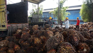 Decade of convening landscape initiatives: Convening a sustainable palm oil landscape