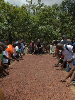 Building Blocks for EUDR Compliance: Lessons from the Cocoa Sector