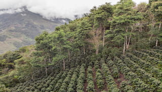 Terms of Reference: Monitoring, Reporting and Verification System for AGRI3 Fund