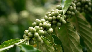 Call for proposals: Colombia pilot design and implementation lead – LATTE