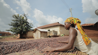 Dutch Supermarkets take significant steps towards living income in the cocoa sector