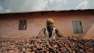 When data decides who can sell to the EU: eight recommendations to protect smallholders under the EUDR