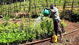 Decade of convening landscape initiatives