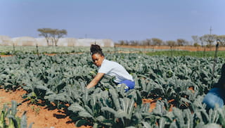 Stability starts with food