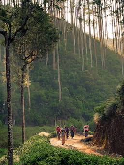 Investing in supply chain resilience