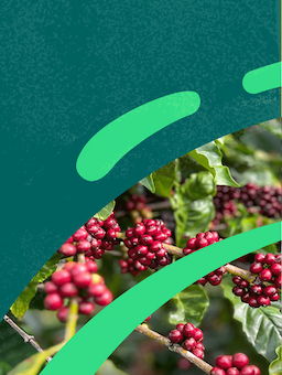 IDH 2024 Annual Report: Building resilience and shared value for long-term impact