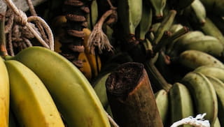 IDH perspective on the progress made and steps still to be taken related to the banana living wage commitments