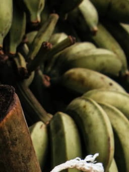 IDH perspective on the progress made and steps still to be taken related to the banana living wage commitments