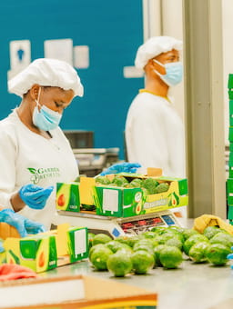 From human rights to business resilience: Growing momentum for living wages