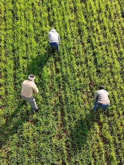 How Capital Enhances Resilience: Five Lessons Learned