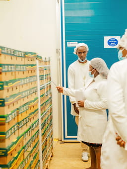 Path to security & stability