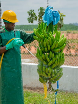 Investing in supply chain resilience