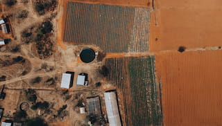 The Edge of Tomorrow: Africa’s Smallholder-Inclusive Businesses Confront Another Disruption