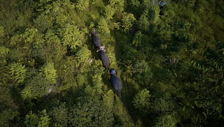 Accelerating EUDR readiness