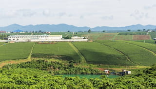 Coffee resilience: building a shared foundation for collaborative place-based investment