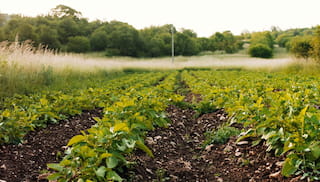 Terms of Reference: Building Landscape Resilience through Participatory and Data-Driven Ecological Planning