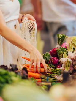 Food security and Global Value Chains of Food and Agricultural Products Towards an Action Plan in the Netherlands