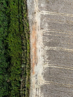 Why Brazil's scale doesn't equal resilience