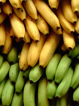 UK retailer living wage commitment marks one year of going bananas